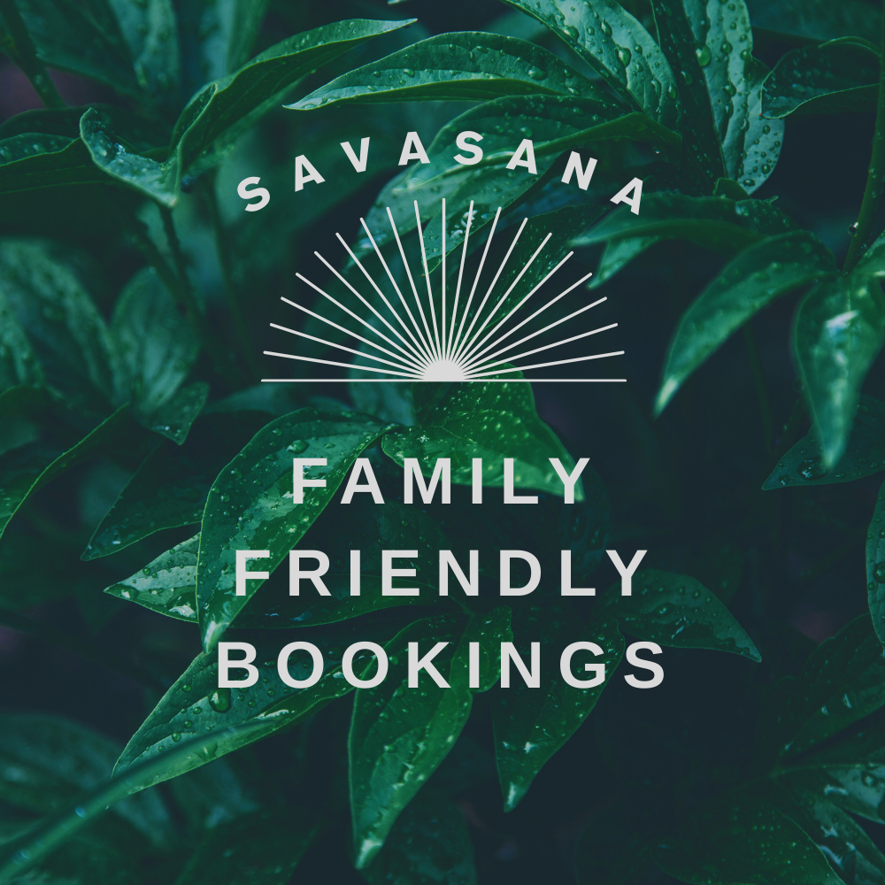 Family Booking Friday January 2nd 3PM-4PM or Saturday January 3rd 3PM-4PM